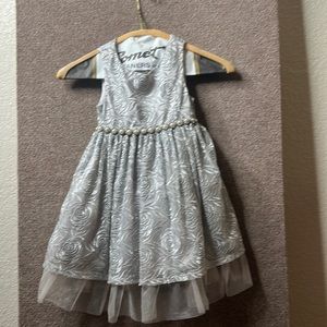 Rare Editions Girls Roses and Pearls Silver Dress